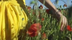 Стих - ''Жди меня и я вернусь''