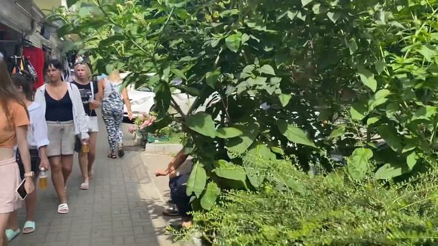 Прогулка от набережной по ул. Павлова 16.06.2024 Цены в столовых #travelvlog #travel #лазаревское