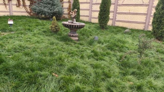 Славянск. 21 октября 2022 года. Вечер. смотреть онлайн