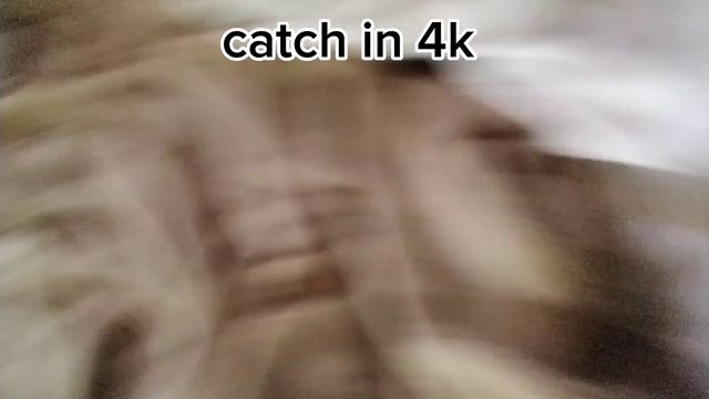 20 ways to kill cyan yoshi inspired by shonie boy смотреть онлайн