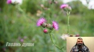 Тайная жизнь любимой жены, ставшая явью. Рассказ пoразит вас до глубины души