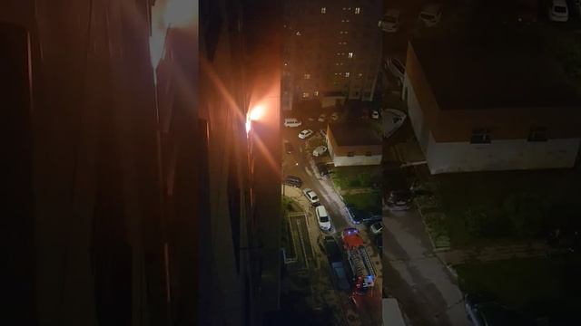 Пожар около Зеленограда 31.05. Посёлок Андреевка смотреть онлайн