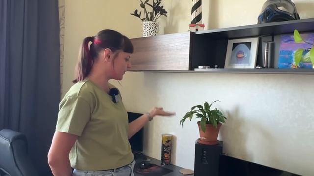 В гостях у Марии. Г. Щербинка МО. Алоказии и монстеры, хойи, церопегия, макраме, кот и сухоцветы. смотреть онлайн