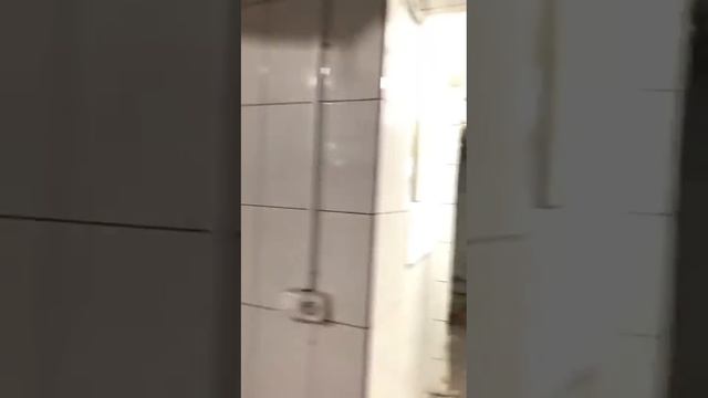 Тверская ул. 5/6 _ торговое помещение _ 320кв.м. смотреть онлайн