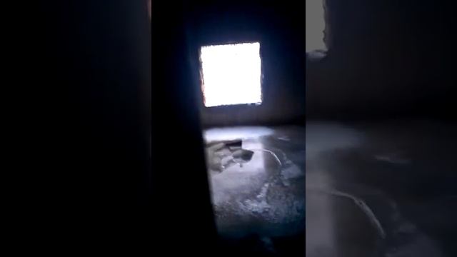 Птичка))).mp4 смотреть онлайн