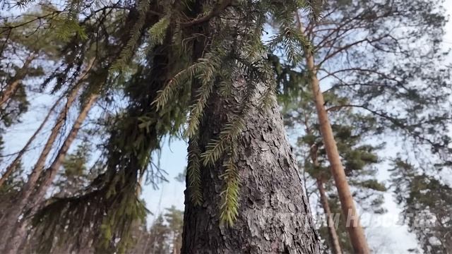 Богачка приехала в глушь, чтобы отвадить деревенскую невесту. А едва узнав…