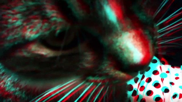 3D Video! Featuring: Coconut (Red/Cyan Glasses) смотреть онлайн