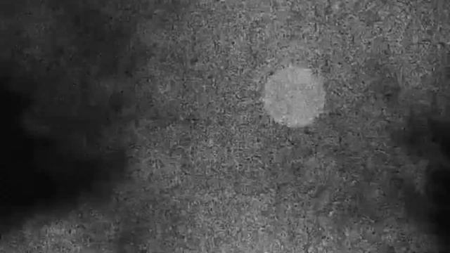 Emotional Excellence