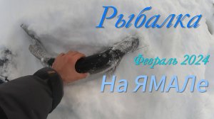 Рыбалка на ЯМАЛе февраль 2024