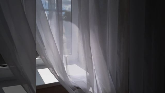 24 июля 2024 г. смотреть онлайн