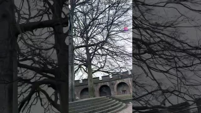 📍Leiden, the Netherlands смотреть онлайн