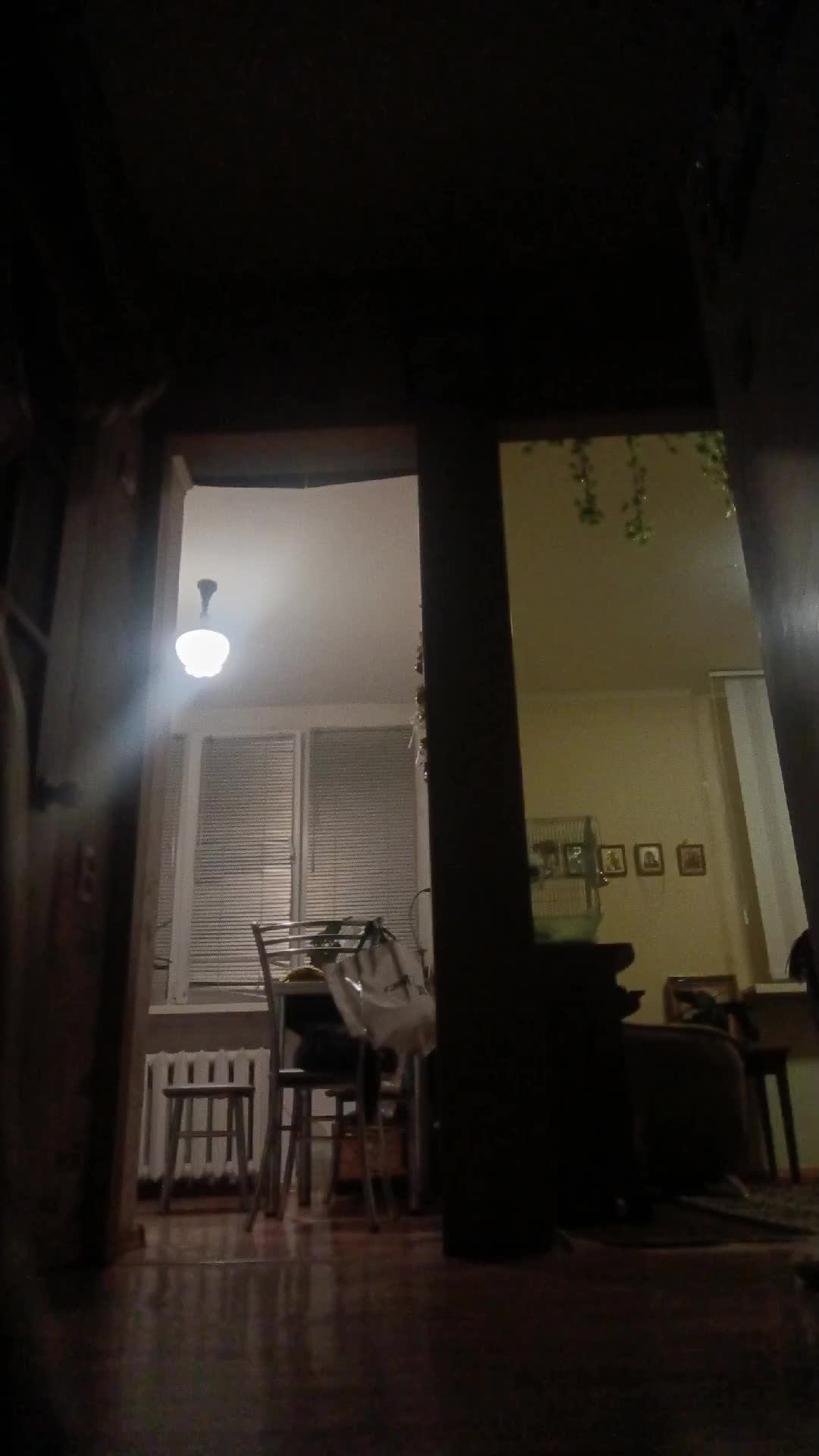 учу гимнастики смотреть онлайн