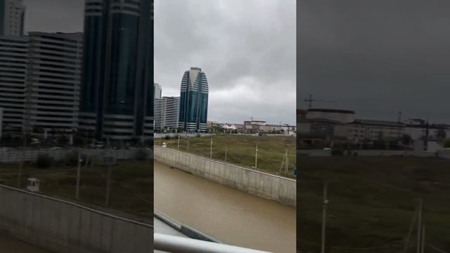 Мичуринер Бизнес Дольщикш Бизнес Проектехь Грозный Молл цуьн доьхьлар Ахмат-Тауэр еш стройка йолош смотреть онлайн