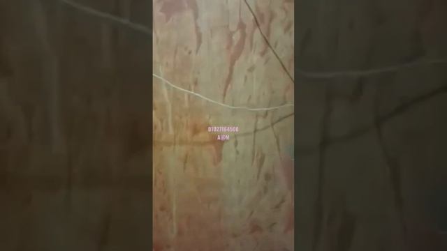 للايجار الجديد في عزبه النخل смотреть онлайн