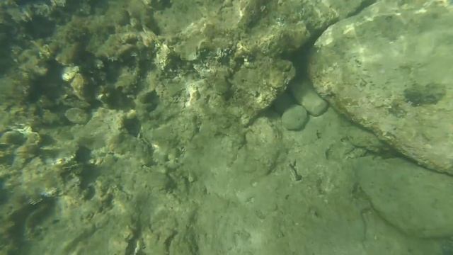 Turkish Okurcalar Underwater World  - April 2019