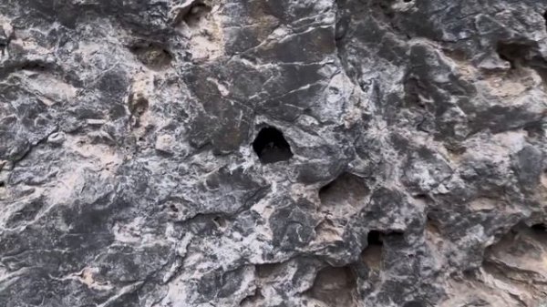 Жизнь в Калгари. Мысли о главном. Ответы на Ваши вопросы. Иммиграция в Канаду. Альберта 2024. Куает