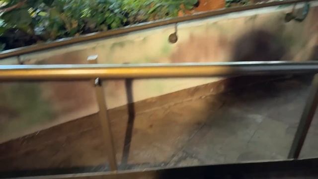 Дубайская Авантюра 9 - В мире мальков ( ͡° ͜ʖ ͡°) смотреть онлайн