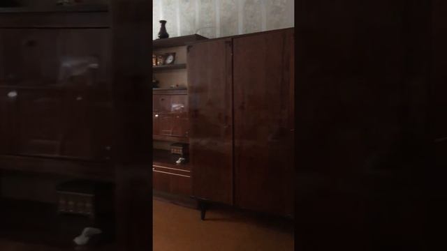 Продам однокомнатную квартиру на улице Ньютона в городе Ярославле смотреть онлайн