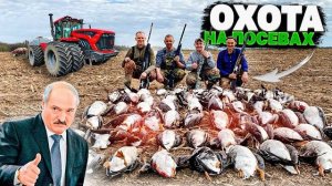 ТАКИХ НАЛЁТОВ МЫ ЕЩЁ  НЕ ВИДЕЛИ!!! СУПЕР ОХОТА НА ГУСЯ 2023. Охота на гуся 2023. Беларусь 23.04.23