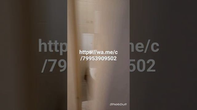 21 февраля 2024 г.