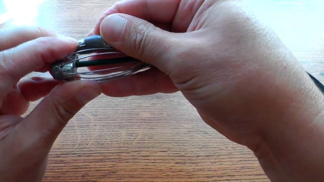 Тверской усатый таракан с яйцами. смотреть онлайн