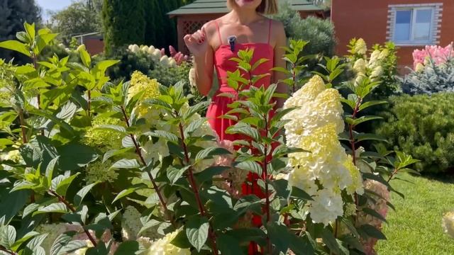 EXCLUSIVE ЖИВОЙ КАТАЛОГ 