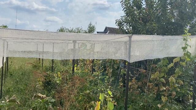 ПРОДАН ‼️Дом за 3175000 в Северской смотреть онлайн