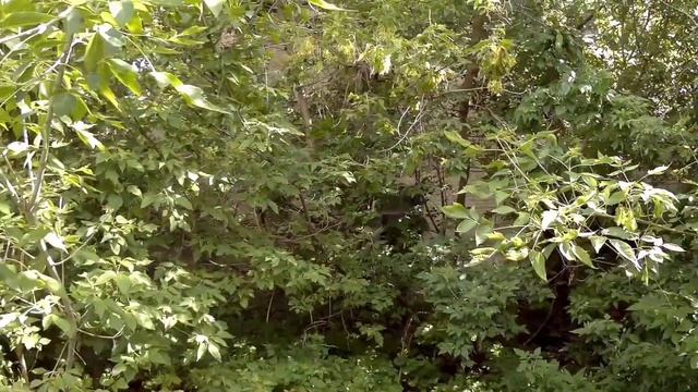 3 октября 2023 г.