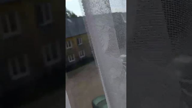 Квартира однокомнатная смотреть онлайн