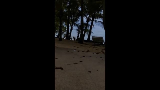 cast1963 Корон,Сихикор , Алона бич 2017 смотреть онлайн