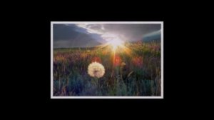 Магия утра (часть 1)