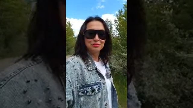 Срочный эфирчик из дикого леса. Канада | Irena Sigal #жизньвканаде смотреть онлайн