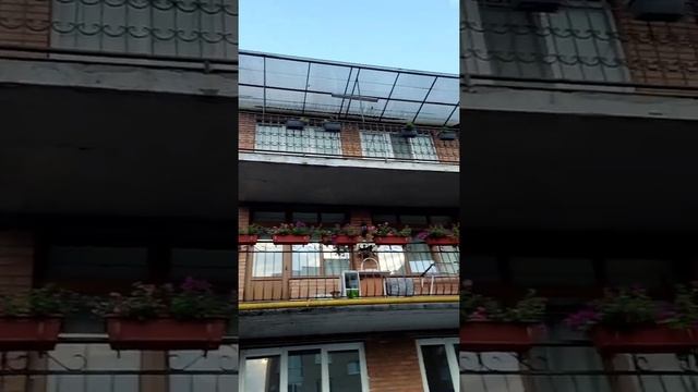 #ЛюбопытныйДом#владикавказ #кавказ #севернаяосетия #северныйкавказ #россия #видеоблогер смотреть онлайн