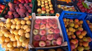 #Джубга. Отличный отдых если бы не одно НО. Что говорят отдыхающие об этом курорте?! (Папа с Юга)