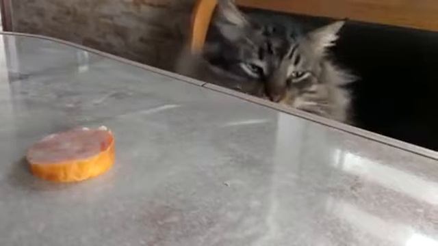 Внутренний конфликт смотреть онлайн