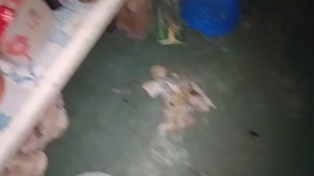 БОРЬБА С ТАРАКАНАМИ В КВАРТИРЕ. НОВЫЙ ВЫПУСК, ВЫВОЖУ ТАРАКАНОВ смотреть онлайн