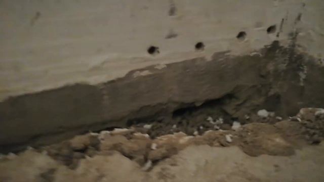 Застройщик под накосячил.
