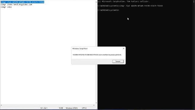 Windows 11 Activation (Without Program) смотреть онлайн