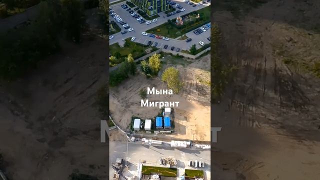 8 августа 2024 г. смотреть онлайн