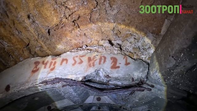 Одесское метро. Спускаемся под землю. Каменоломни / катакомбы. Туризм. Дренажка Одесса. #зоотроп смотреть онлайн