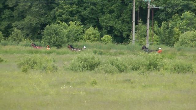 13.06.2020 г. 4-й заезд 4-х лет смотреть онлайн