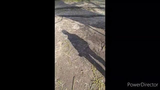 Тень следит за нами. Я была дома у Оли 4 дня. Часть 4.😘😘😘 смотреть онлайн