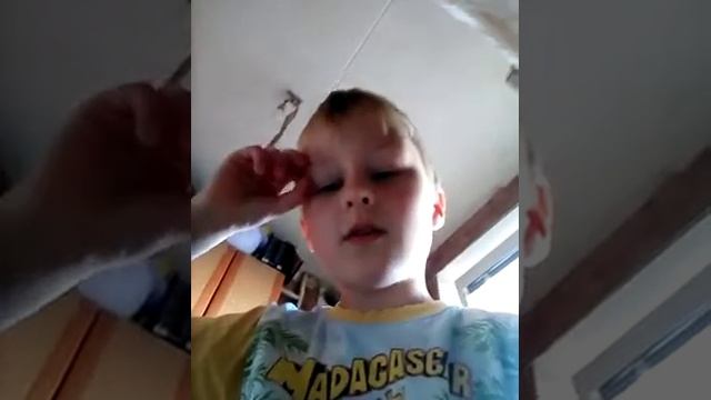 Мая улитка сбежала смотреть онлайн