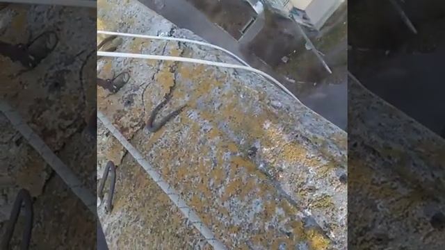 Обучение Спуск 9этаж смотреть онлайн