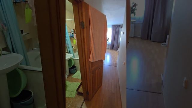 Обзор квартиры Светланская 193 смотреть онлайн