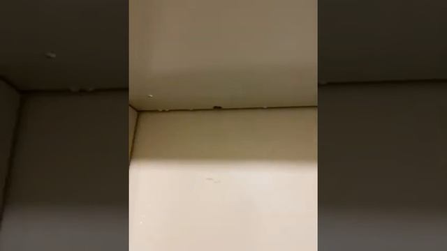 "Идеальное" состояние сданных корпусов ЖК Царицыно 1 АО Мосотделстрой 1 часть 1 ( 26.02.21г) смотреть онлайн