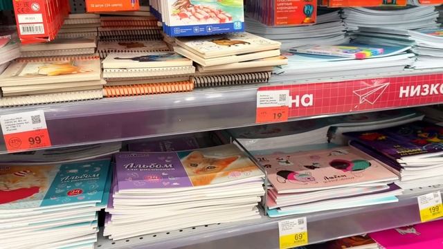 ВЛОГ: У НАС ГОСТИ! ПОКУПКИ ДЛЯ ДОМА! Купили платье в школу! СКОРО В ШКОЛУ! смотреть онлайн
