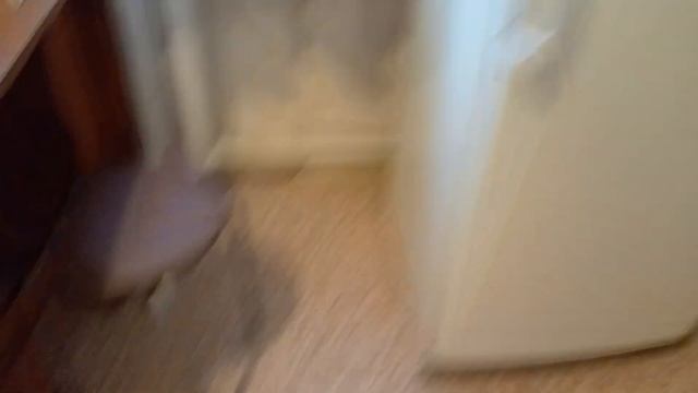 Продается 1- комнатная квартира в районе Люблино. Здесь тихо, уютно и чуть пахнет свежим ремонтом. смотреть онлайн