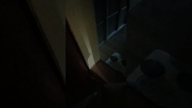 Добро пожаловать в уютную квартиру в центре города Калининград) смотреть онлайн