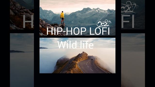 Lofi Safari (feat. Lofi Beats Danny)